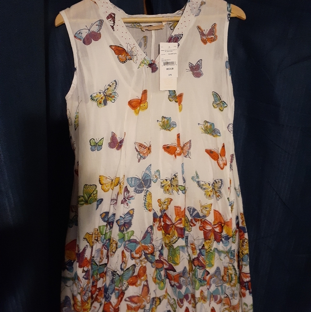 Traje de Mariposas
